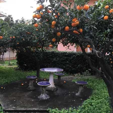 Apartamento In *